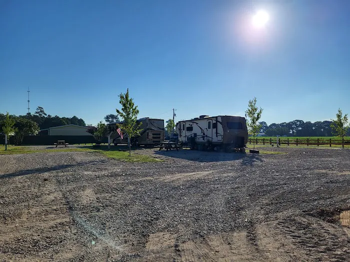 Piney Grove RV Park Picture 5