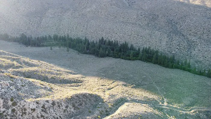 Upper Sage Flat Campground Picture 6