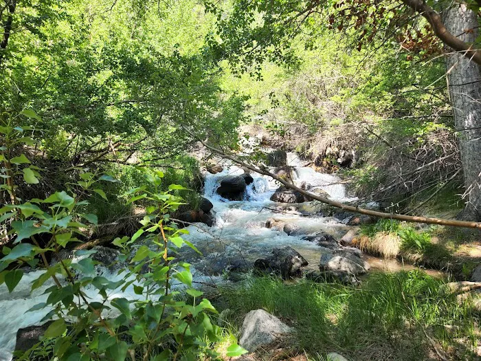 Upper Sage Flat Campground Picture 9