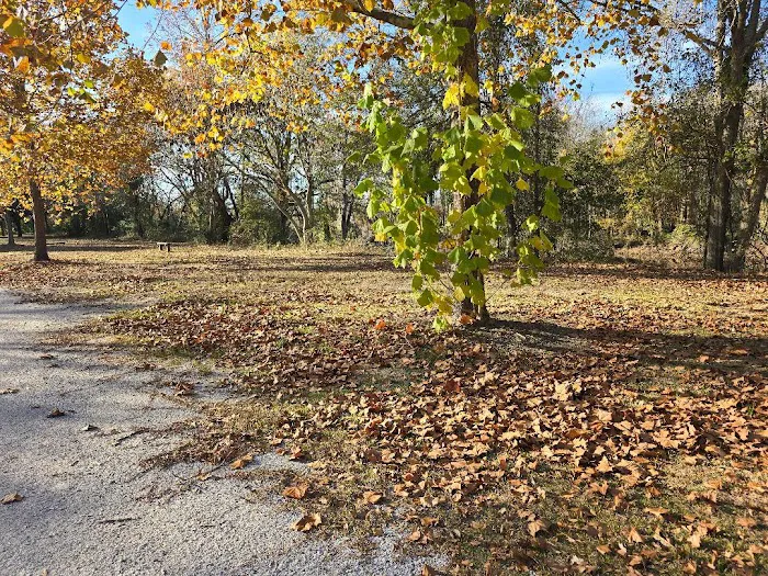 Contentnea Creekside RV Park Picture 5