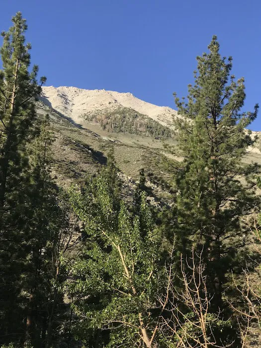 Big Pine Canyon Group Camp Site Picture 9