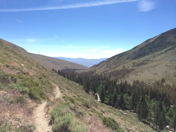 Big Pine Canyon Group Camp Site Picture 4