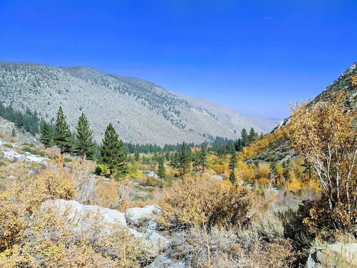 Big Pine Creek Campground Picture 1