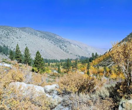 Big Pine Creek Campground