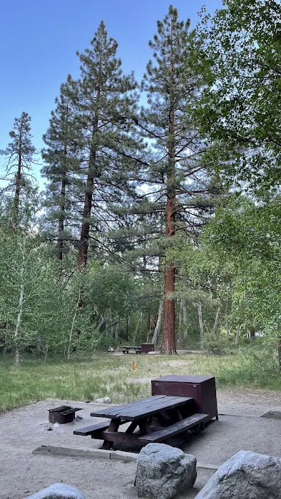 Big Pine Creek Campground Picture 7