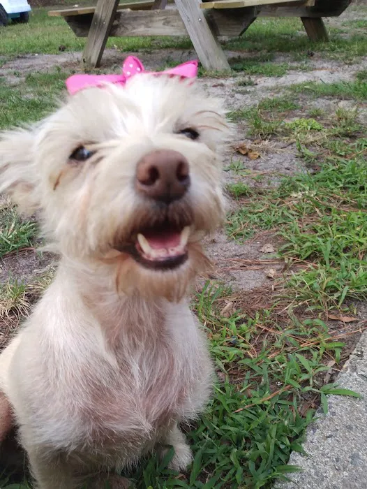 Green Acres Mobile Home Park Picture 4