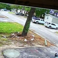 Kingsborough Estates ico