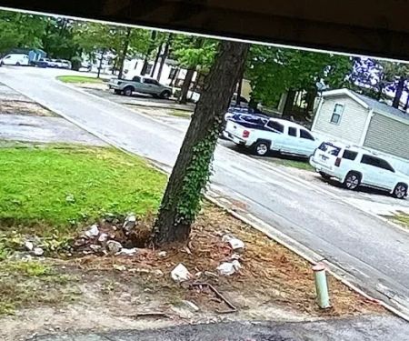 Kingsborough Estates