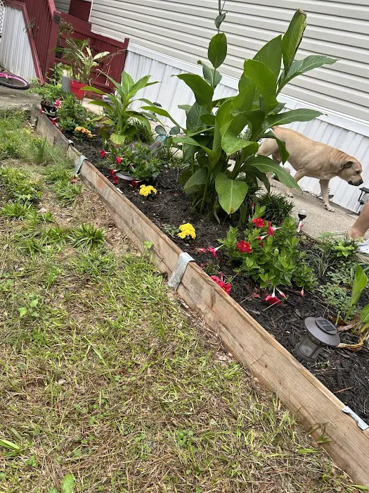 Kingsborough Estates Picture 2