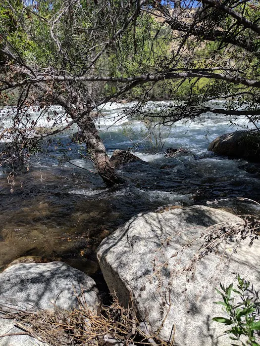 Hospital Flat Campground Picture 6