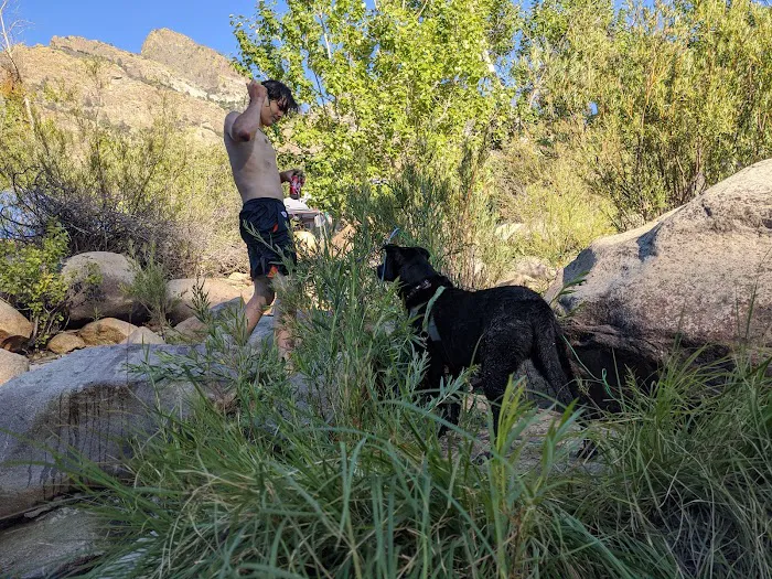 Hospital Flat Campground Picture 10