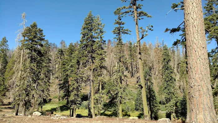Panorama Campground Picture 6