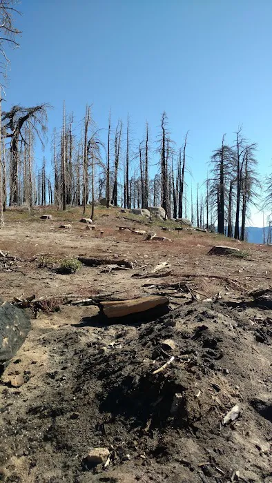 Panorama Campground Picture 5