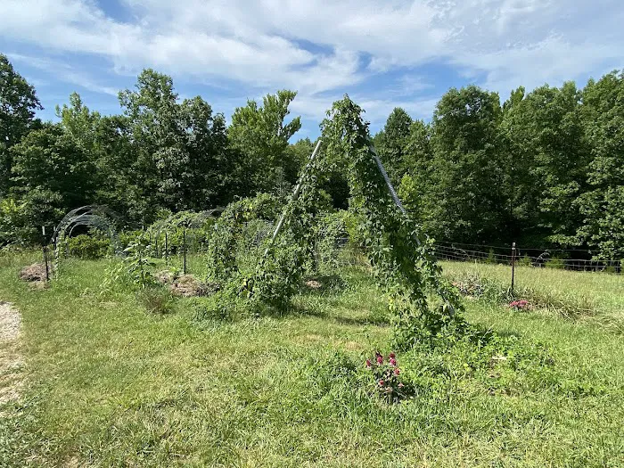 Matthews Creek Farm Picture 2