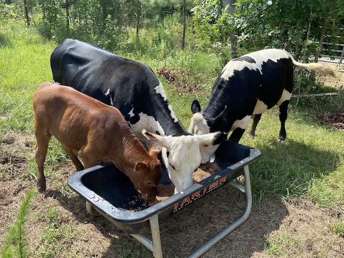 Matthews Creek Farm Picture 3