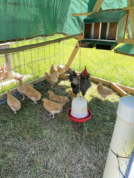 Matthews Creek Farm Picture 5