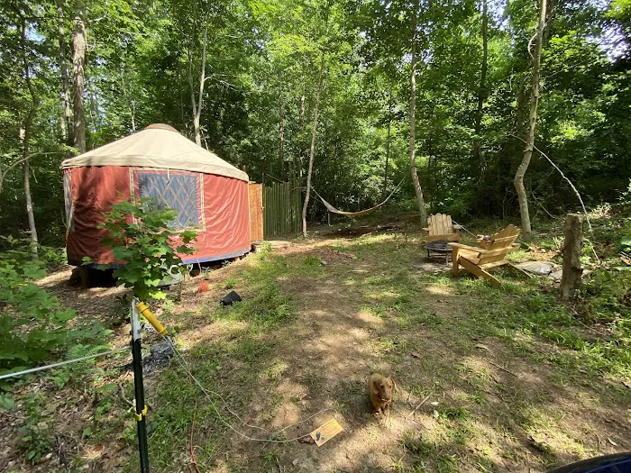 Matthews Creek Farm Picture 9