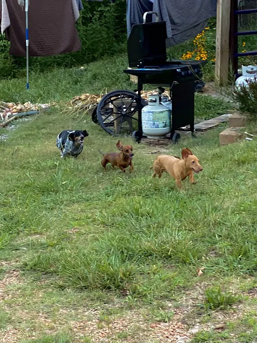 Matthews Creek Farm Picture 10