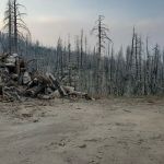 Tiger Flat Campground