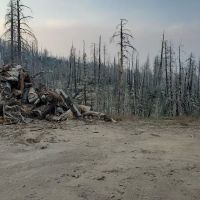 Tiger Flat Campground ico