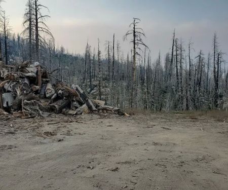 Tiger Flat Campground