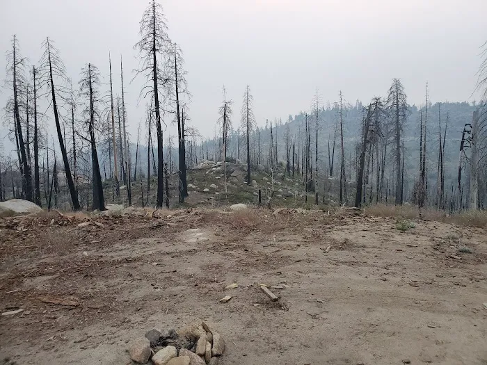 Tiger Flat Campground Picture 4