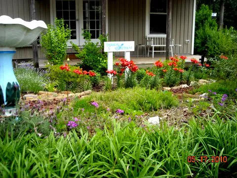 Tobacco Farm Camp Picture 2