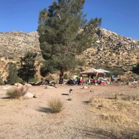 Chico Flat Campground ico