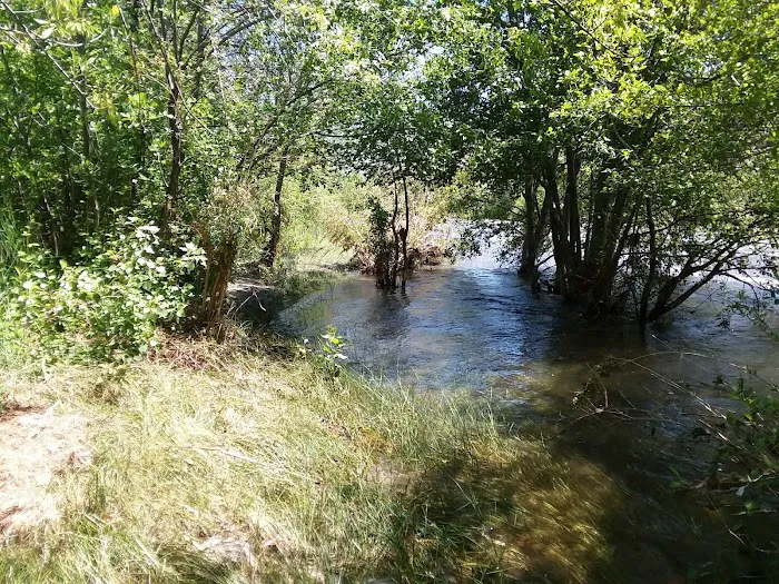 Chico Flat Campground Picture 6