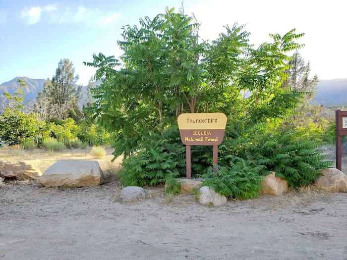 Thunderbird Group Campground Picture 1