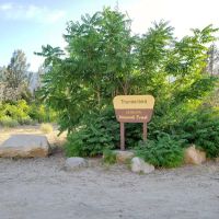 Thunderbird Group Campground ico