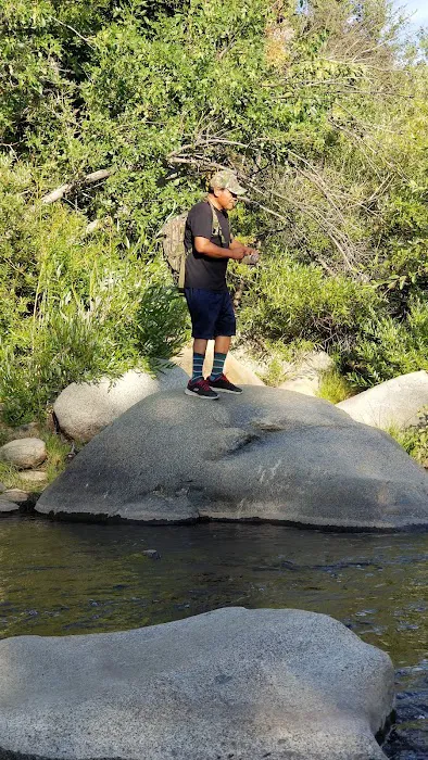 Thunderbird Group Campground Picture 10