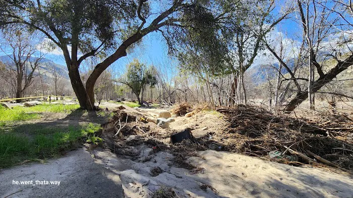 Headquarters Campground Picture 2