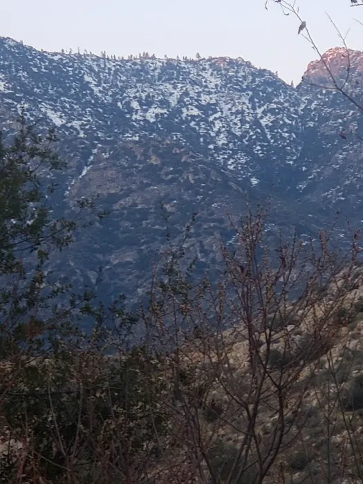 Headquarters Campground Picture 9