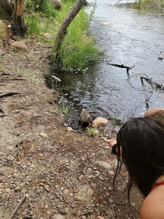 Headquarters Campground Picture 7