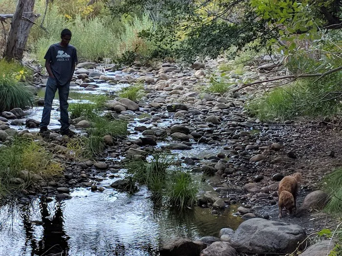 Headquarters Campground Picture 10