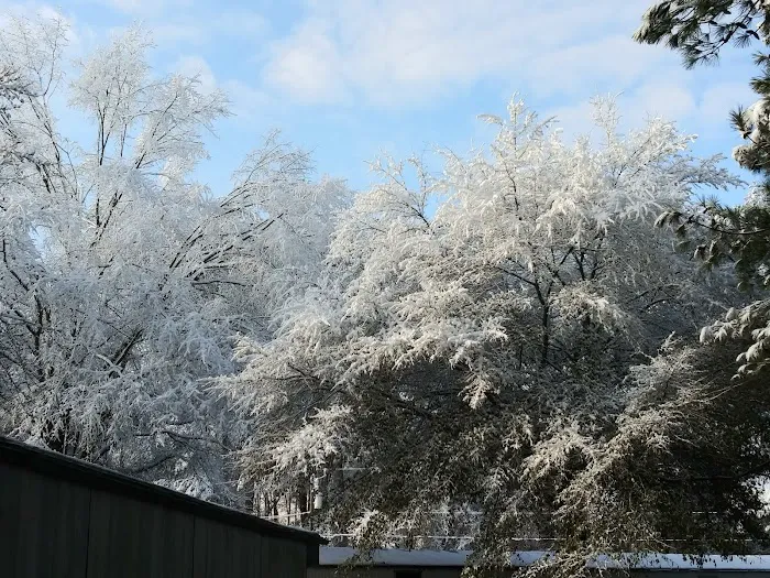 Clements Campsite(do not take overnight stays, only construction crews) Picture 3