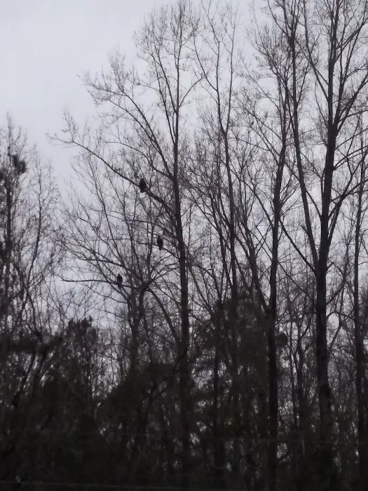 Clements Campsite(do not take overnight stays, only construction crews) Picture 5