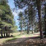 Big Meadow Campground