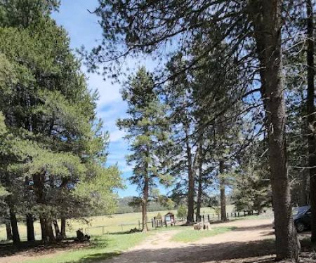 Big Meadow Campground