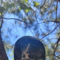 Ser-J's Country Living Mbl Home ico