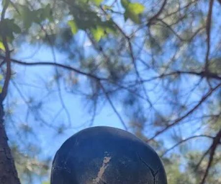 Ser-J's Country Living Mbl Home