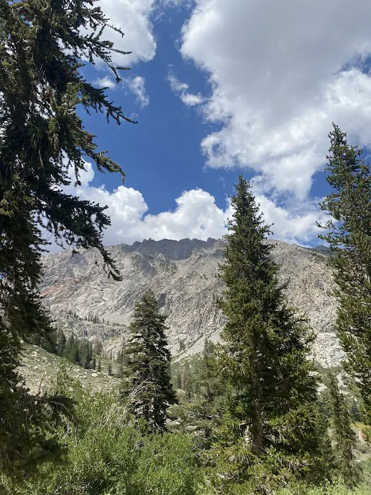 Onion Valley Campground Picture 6