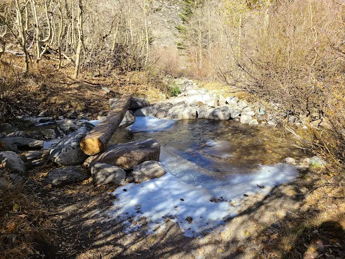 Onion Valley Campground Picture 10