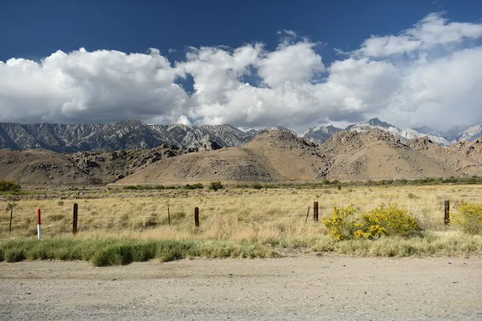 Grays Meadows Campground Picture 2