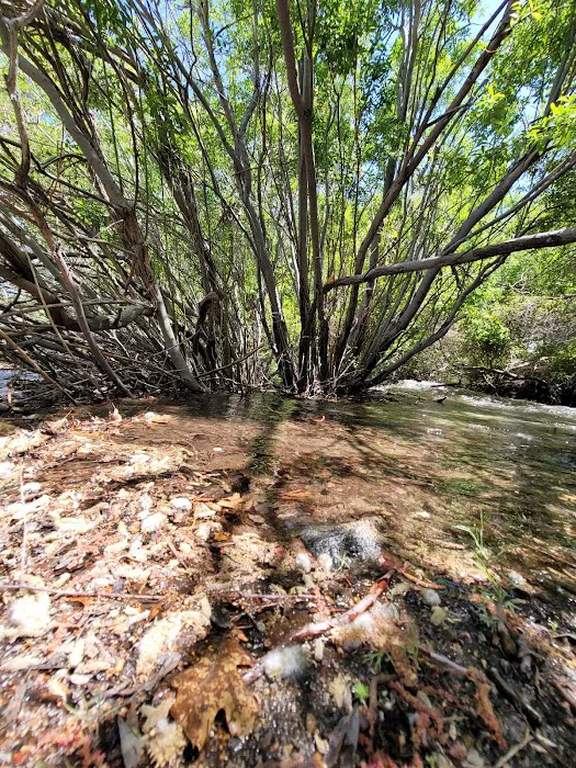 Grays Meadows Campground Picture 7