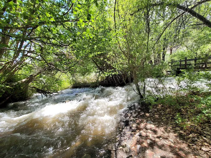 Grays Meadows Campground Picture 4