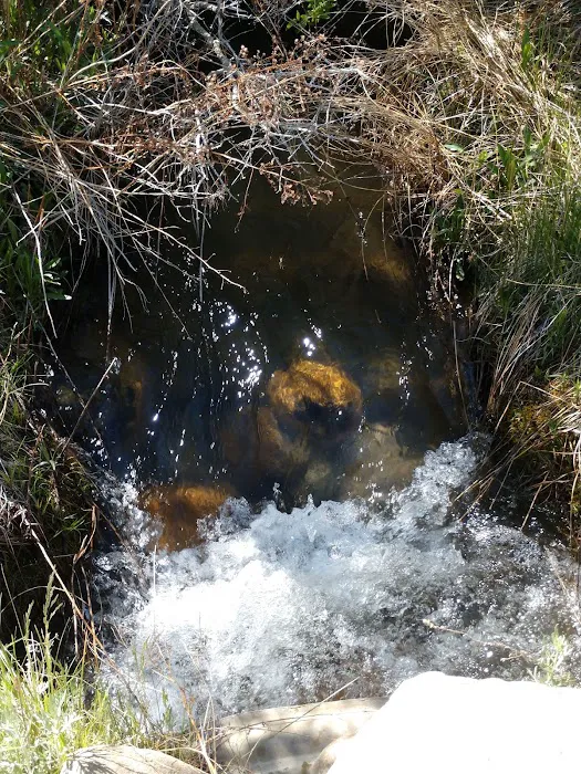 Goodale Creek Campground Picture 10