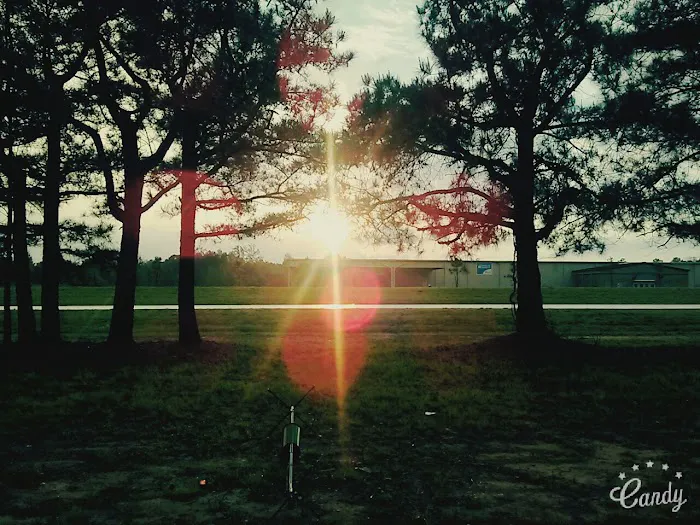 Secound Trailer Park Picture 1