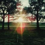 Secound Trailer Park